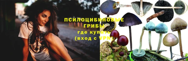 дживик Абаза