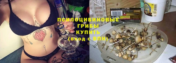 ПСИЛОЦИБИНОВЫЕ ГРИБЫ Абинск