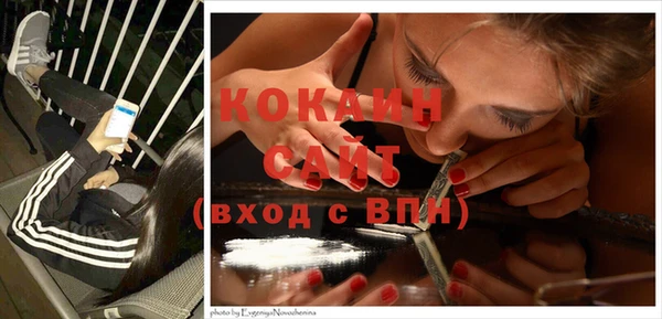 дживик Абаза